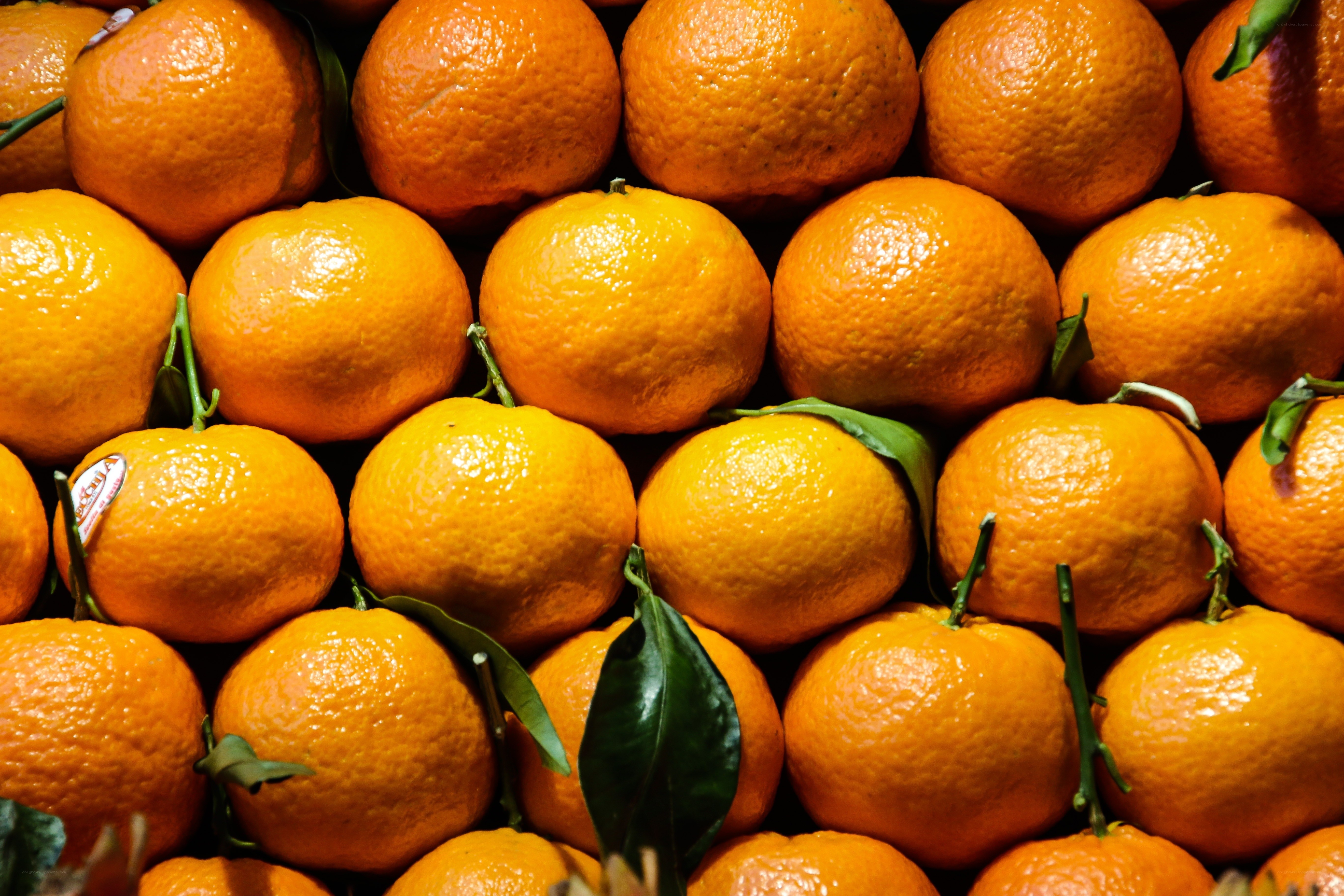 Fresh oranges with leaves