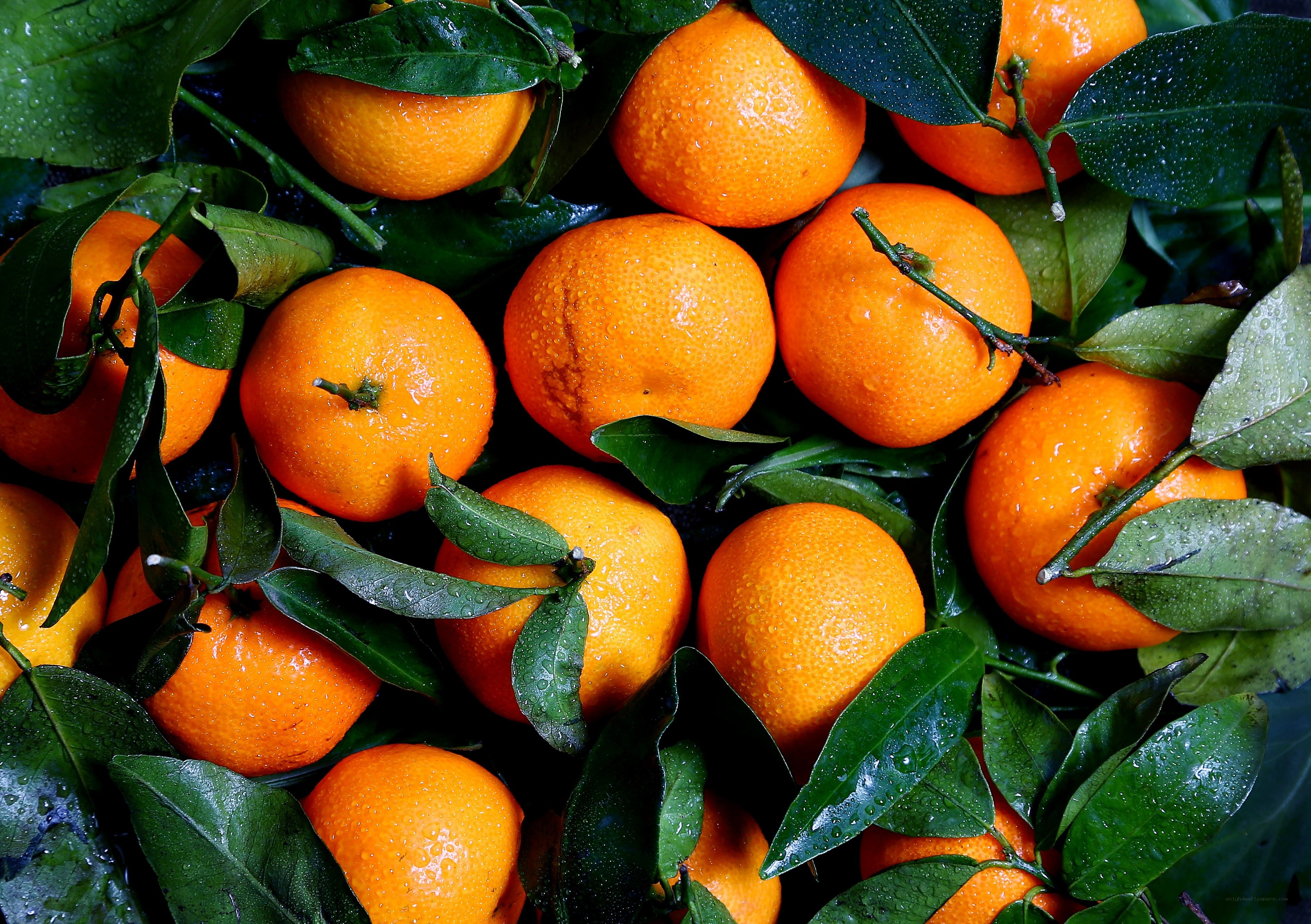 Fresh oranges with leaves