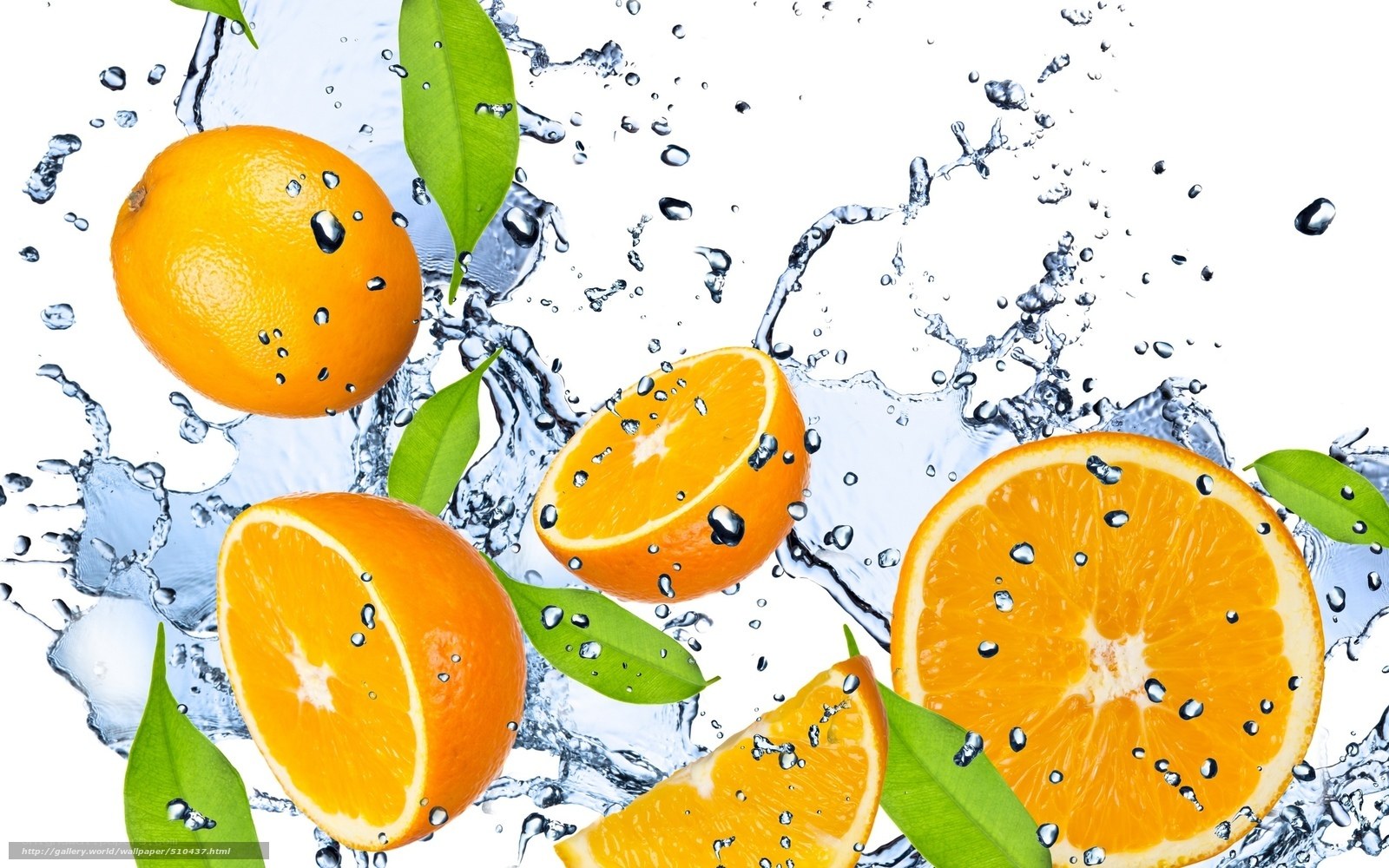 fresh oranges with water splash