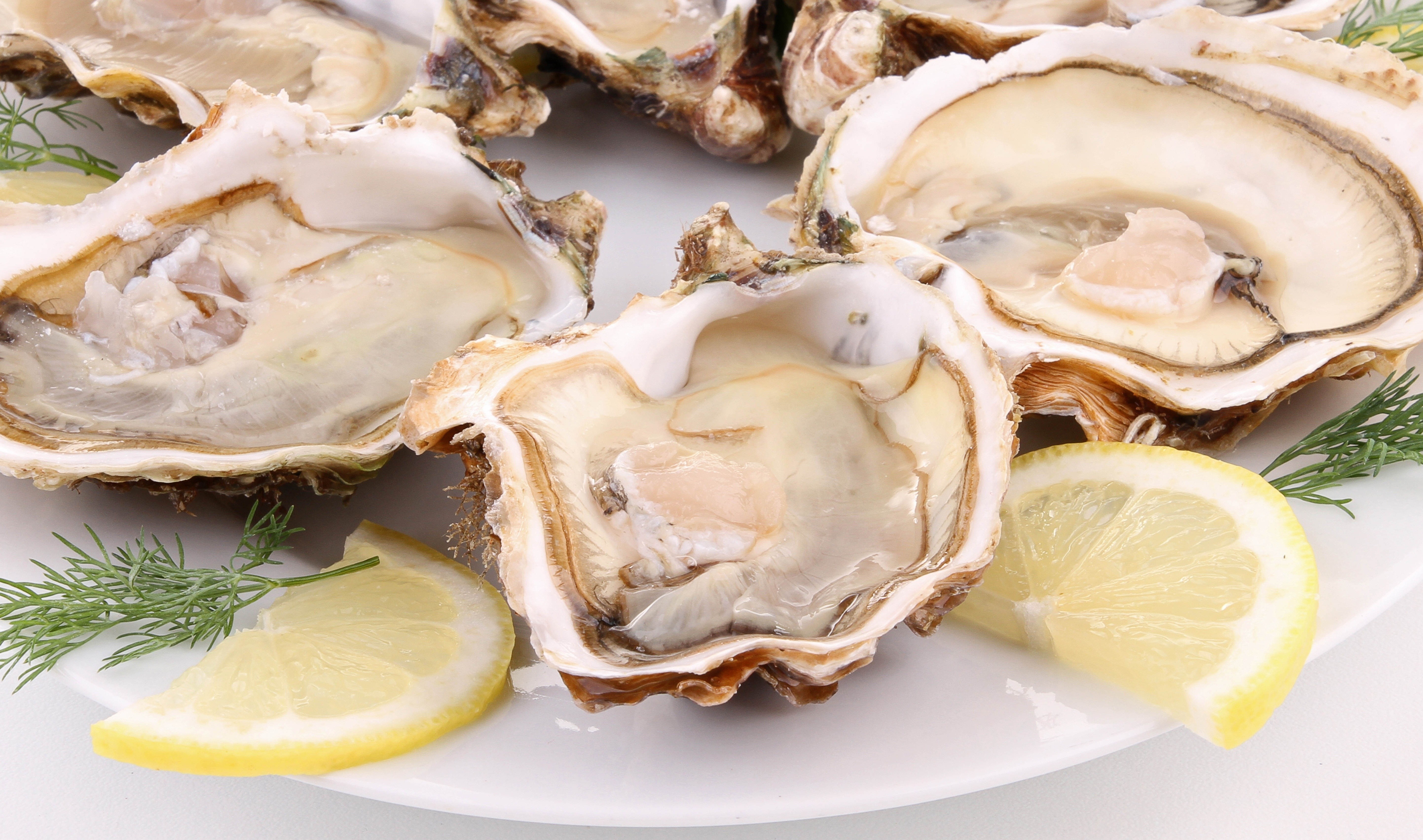 Fresh oysters with lemon and dill