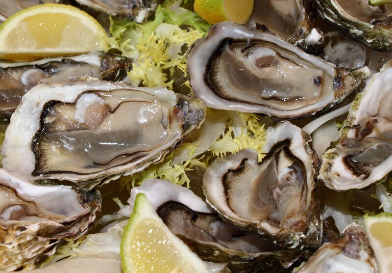 Fresh oysters with lemon and lettuce
