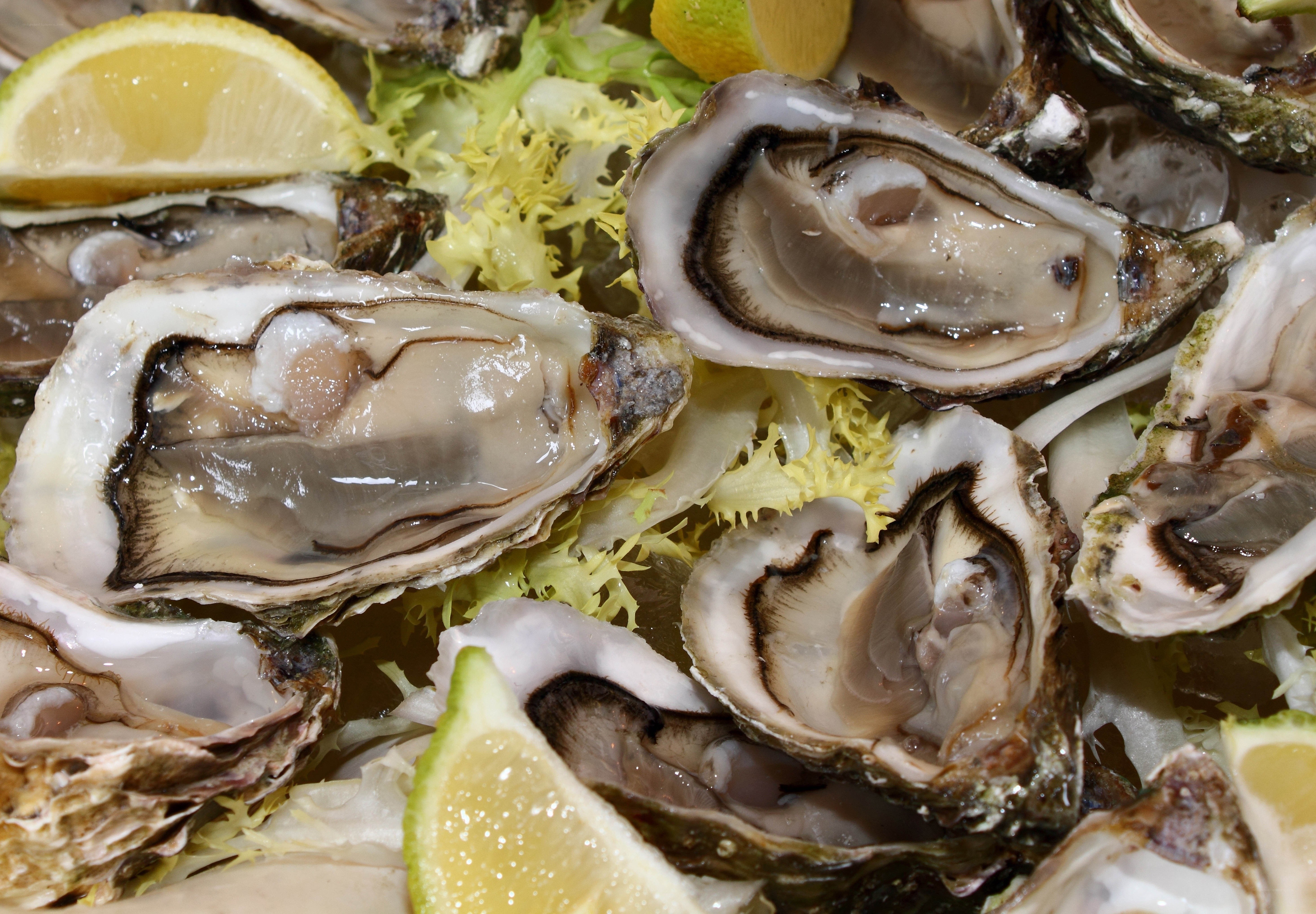 Fresh oysters with lemon and lettuce