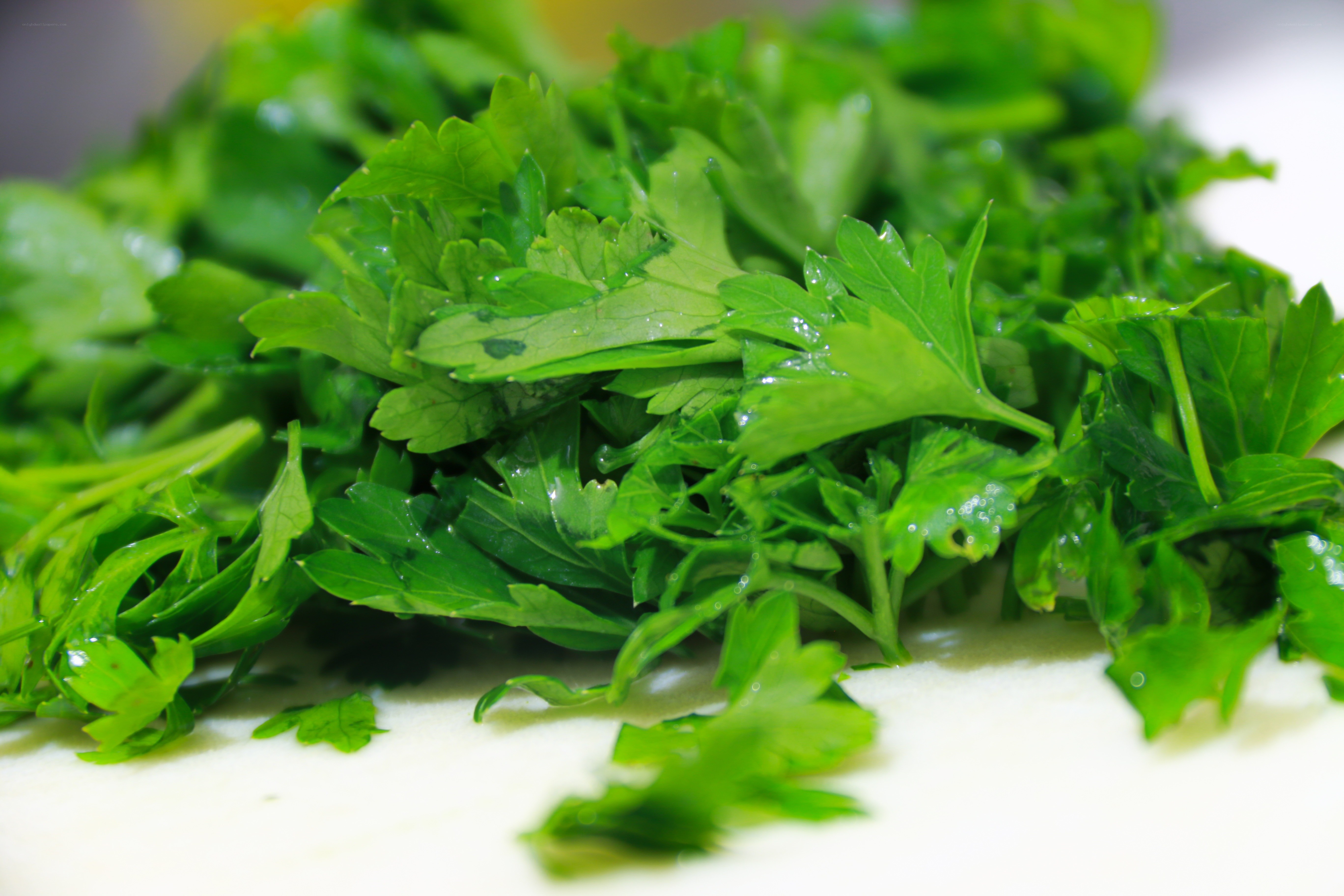 fresh parsley leaves