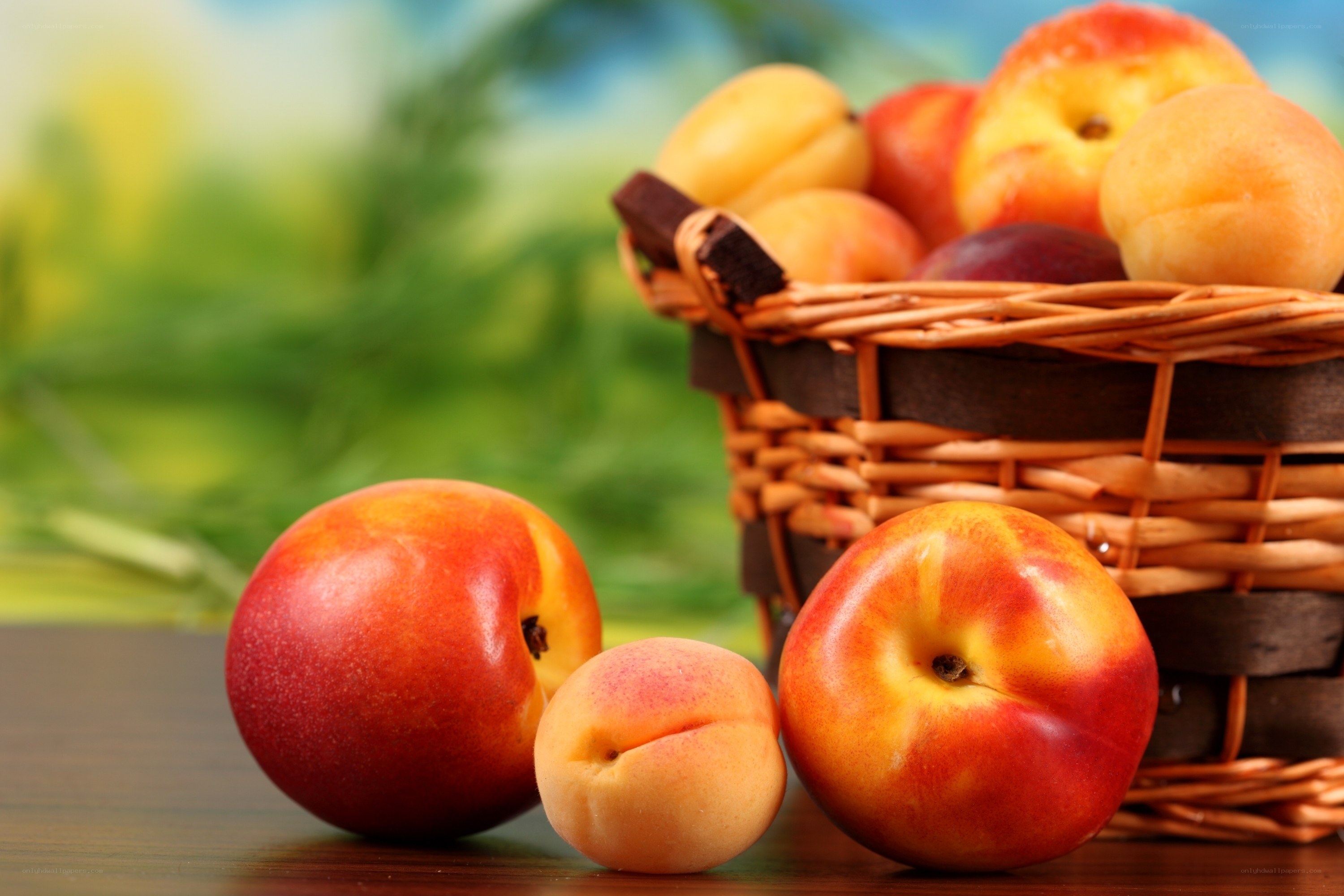 Fresh peaches and apricots in basket