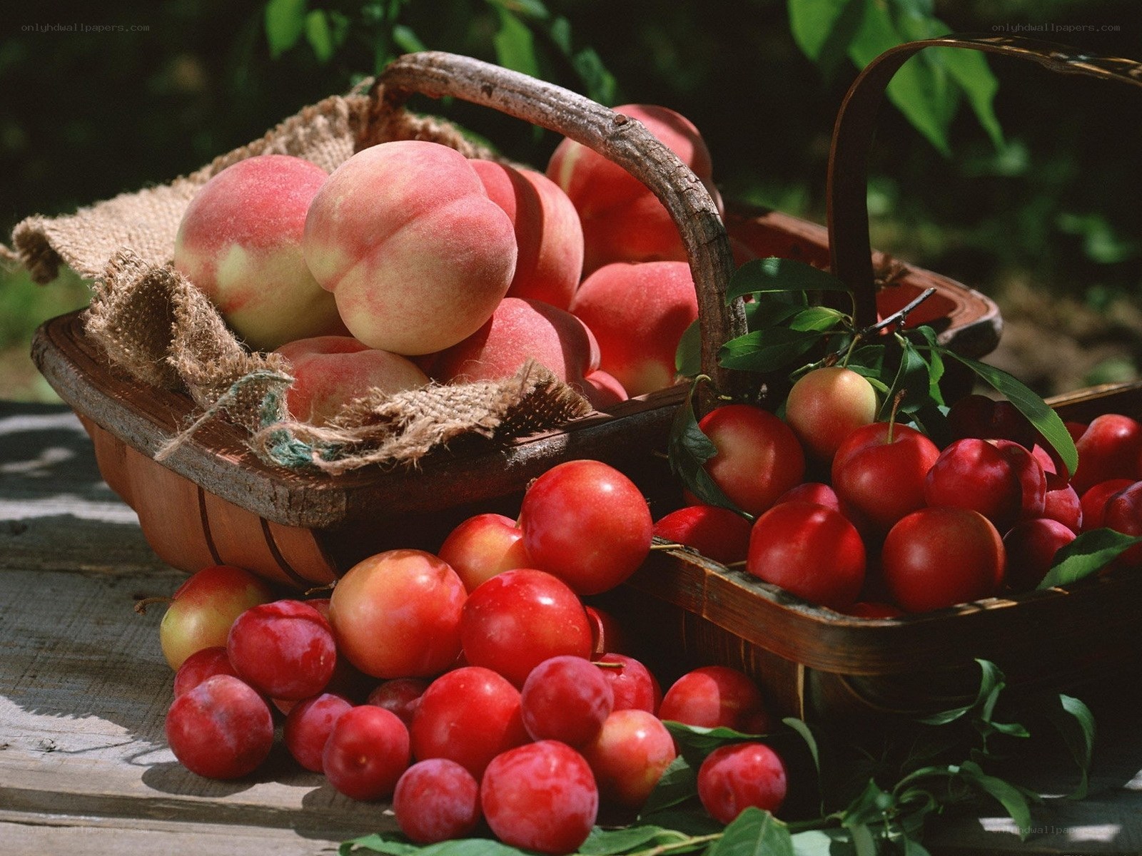 Fresh peaches and plums in baskets