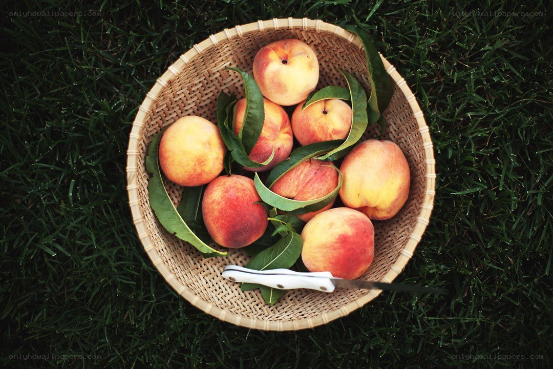 Fresh peaches in a basket