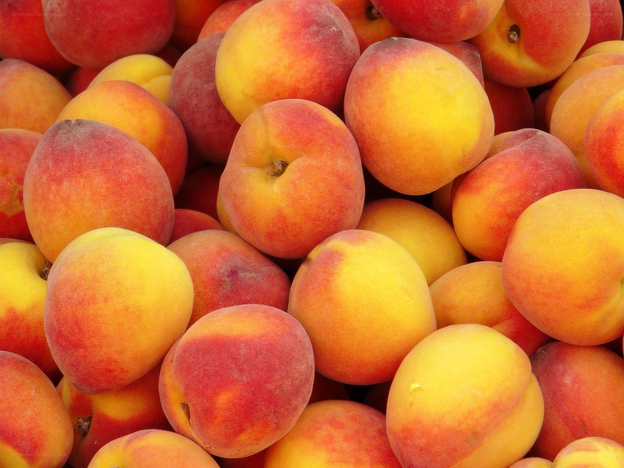 Fresh peaches in a pile