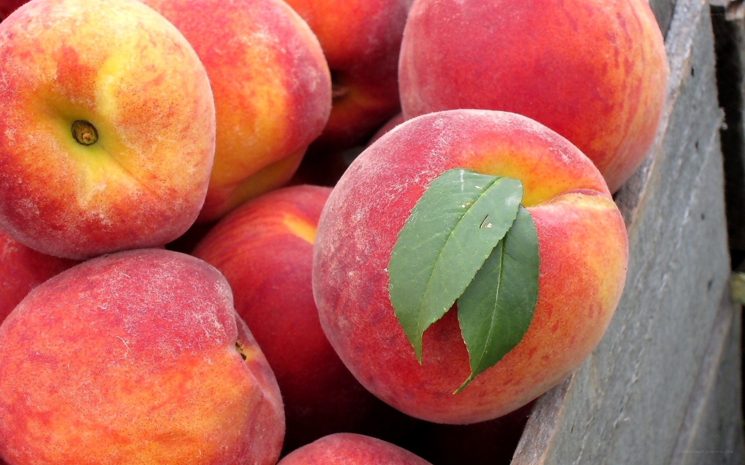 Fresh peaches with green leaf