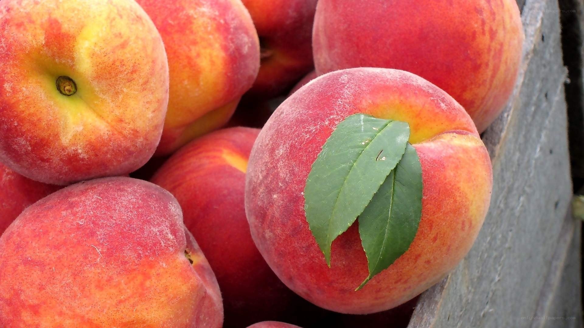 Fresh peaches with green leaves