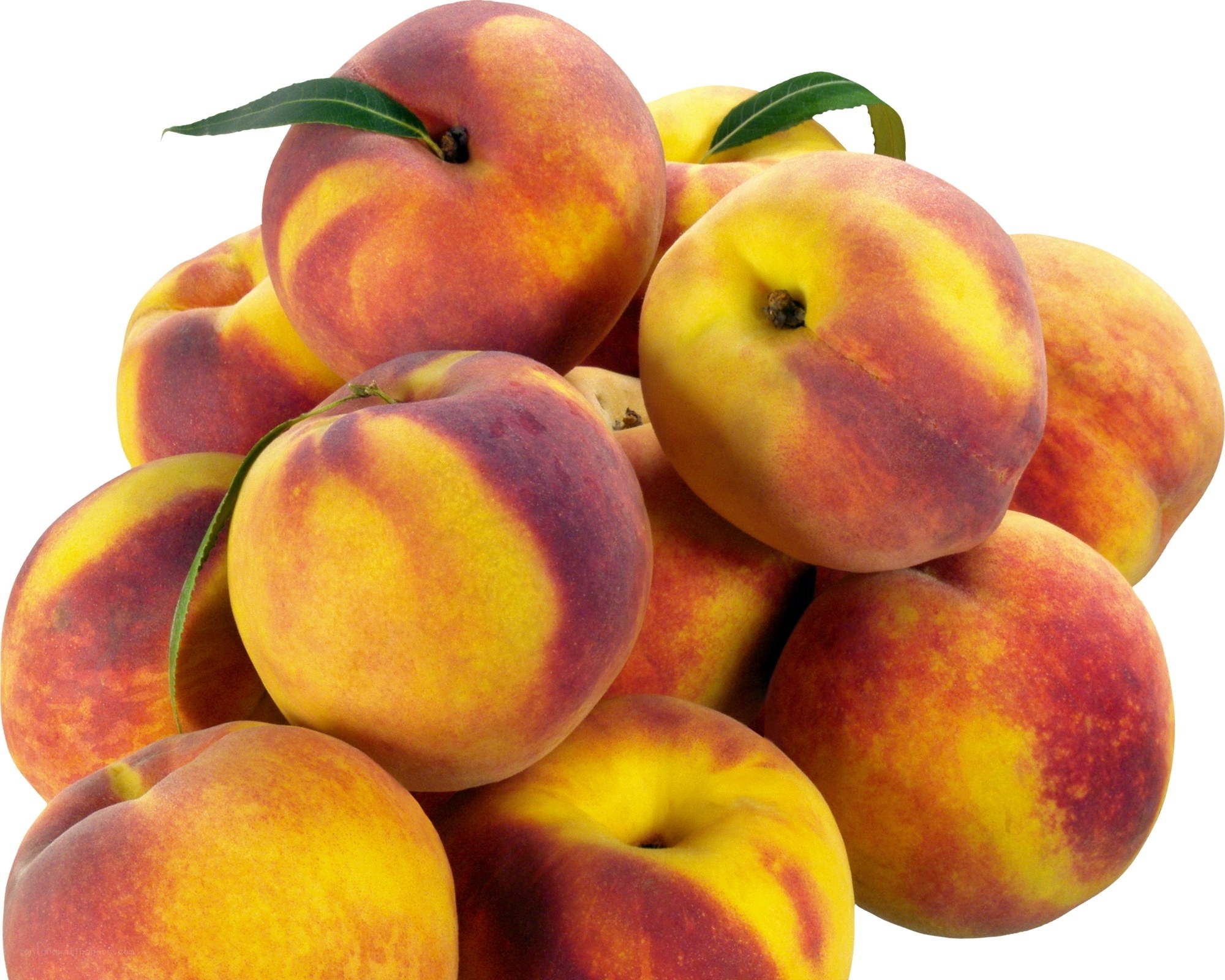 fresh peaches with leaves