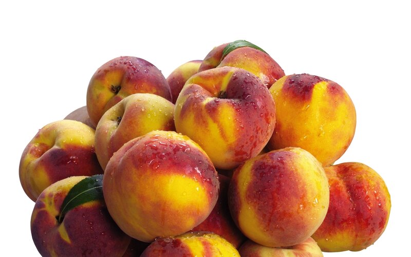 Fresh peaches with water droplets