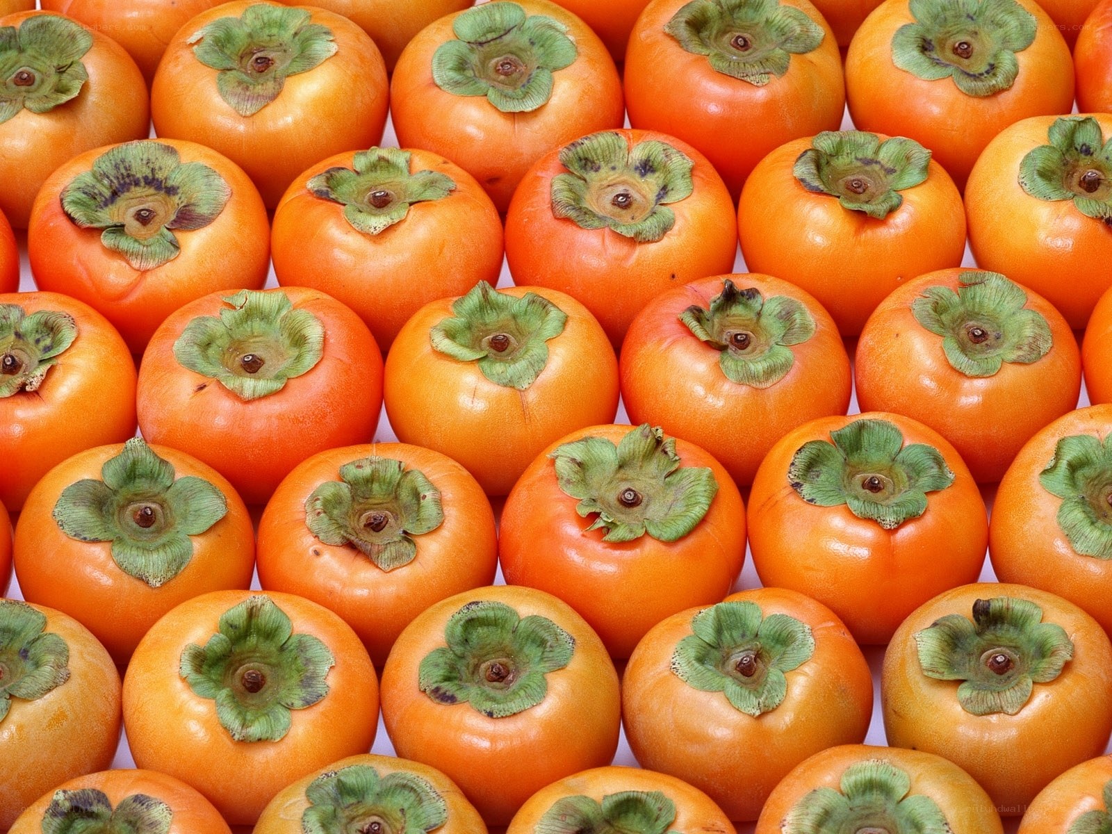 Fresh persimmons in a pile