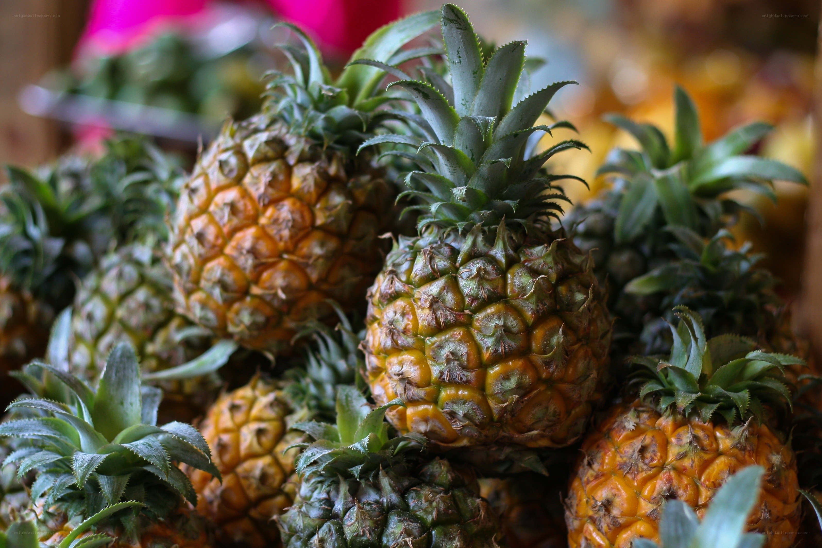 Fresh pineapples at market