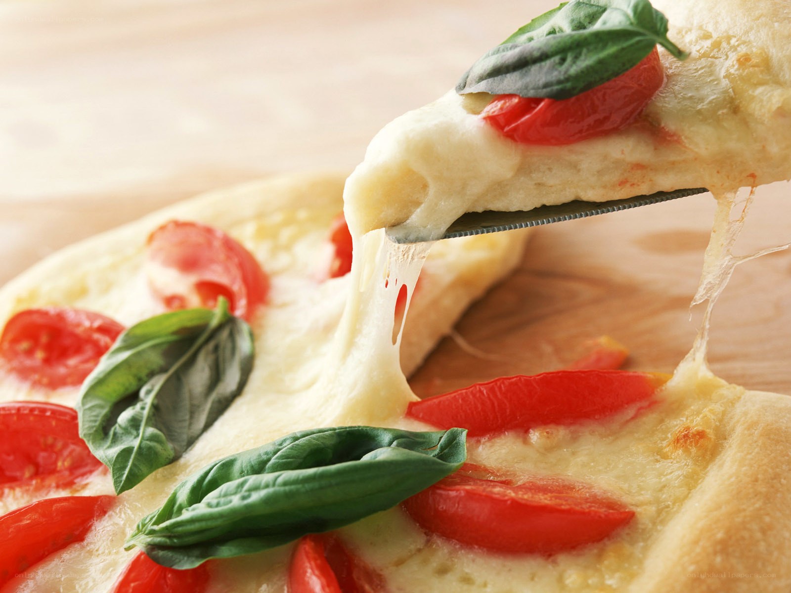 Fresh pizza with basil and tomatoes