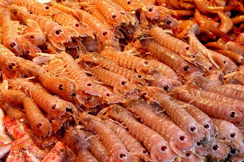 Fresh Prawns at Market