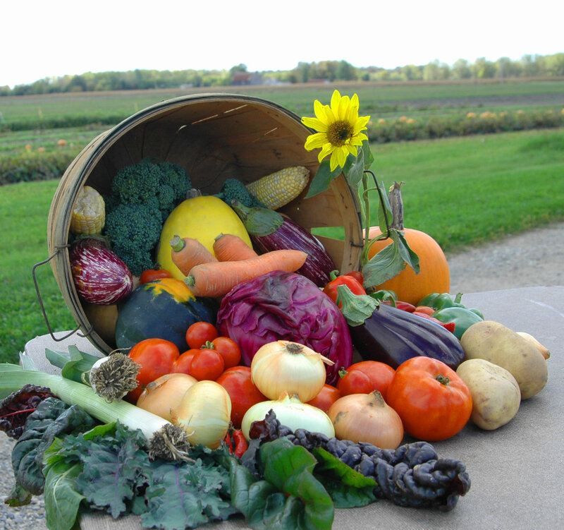 Fresh produce from farm basket