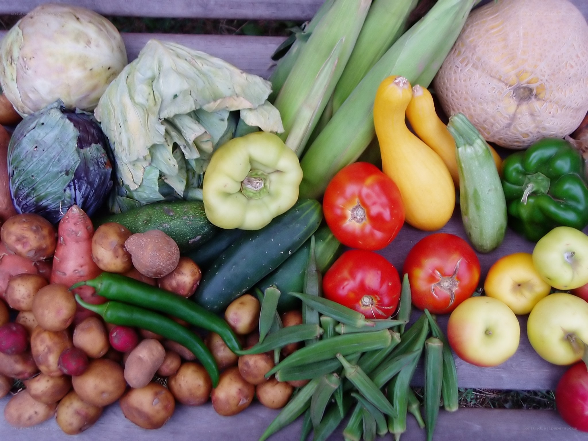 Fresh produce harvest