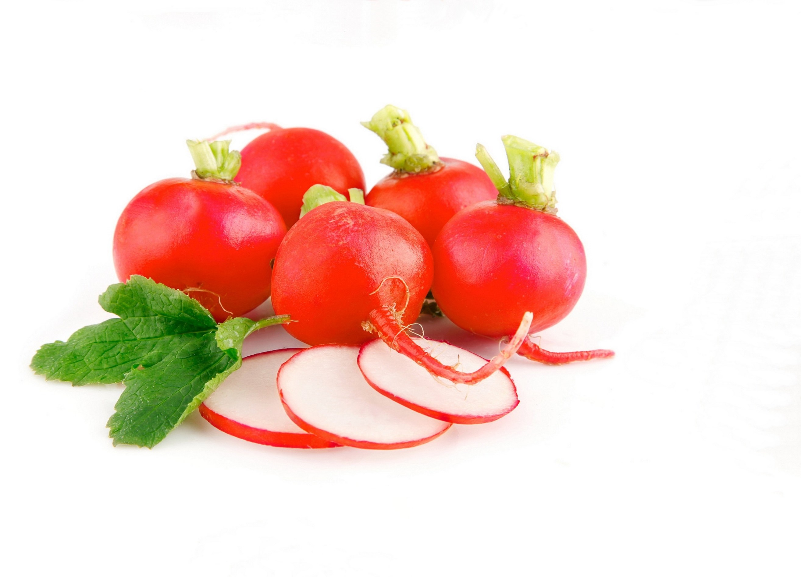 Fresh radishes with leaves