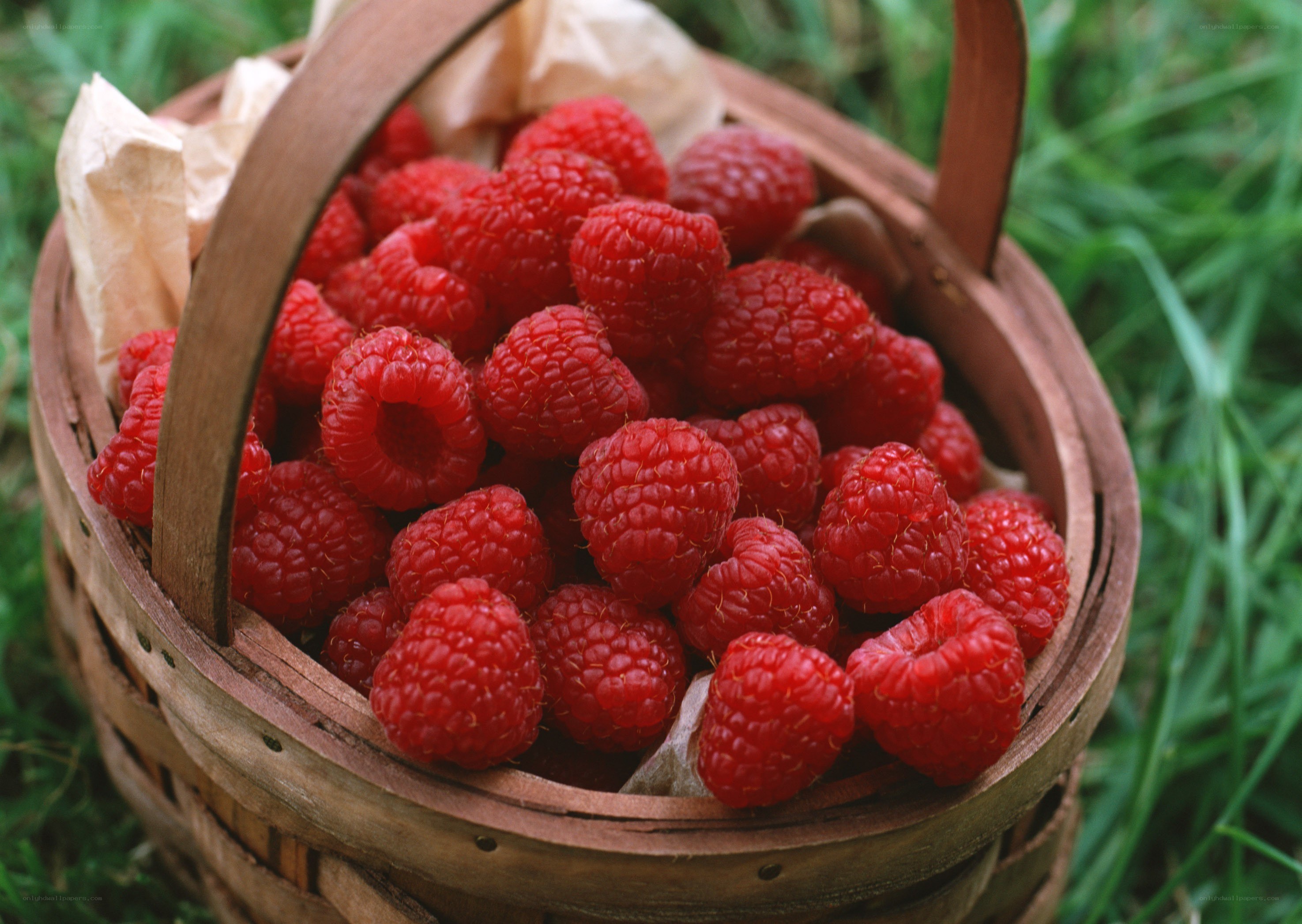 Fresh raspberries in a basket