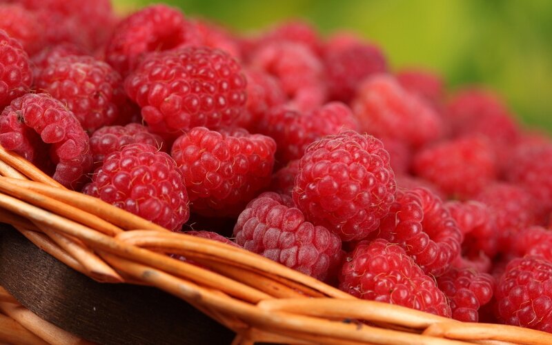 Fresh raspberries in a basket