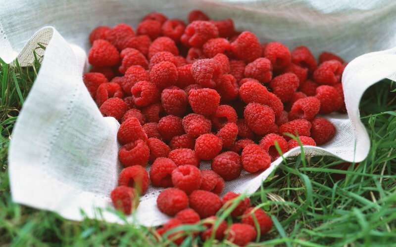 Fresh raspberries in a cloth bag