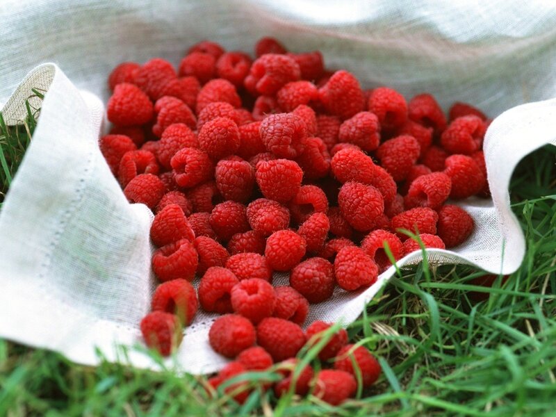 Fresh raspberries in a cloth bag