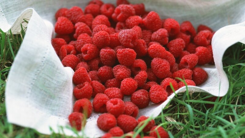 Fresh raspberries in a cloth bag