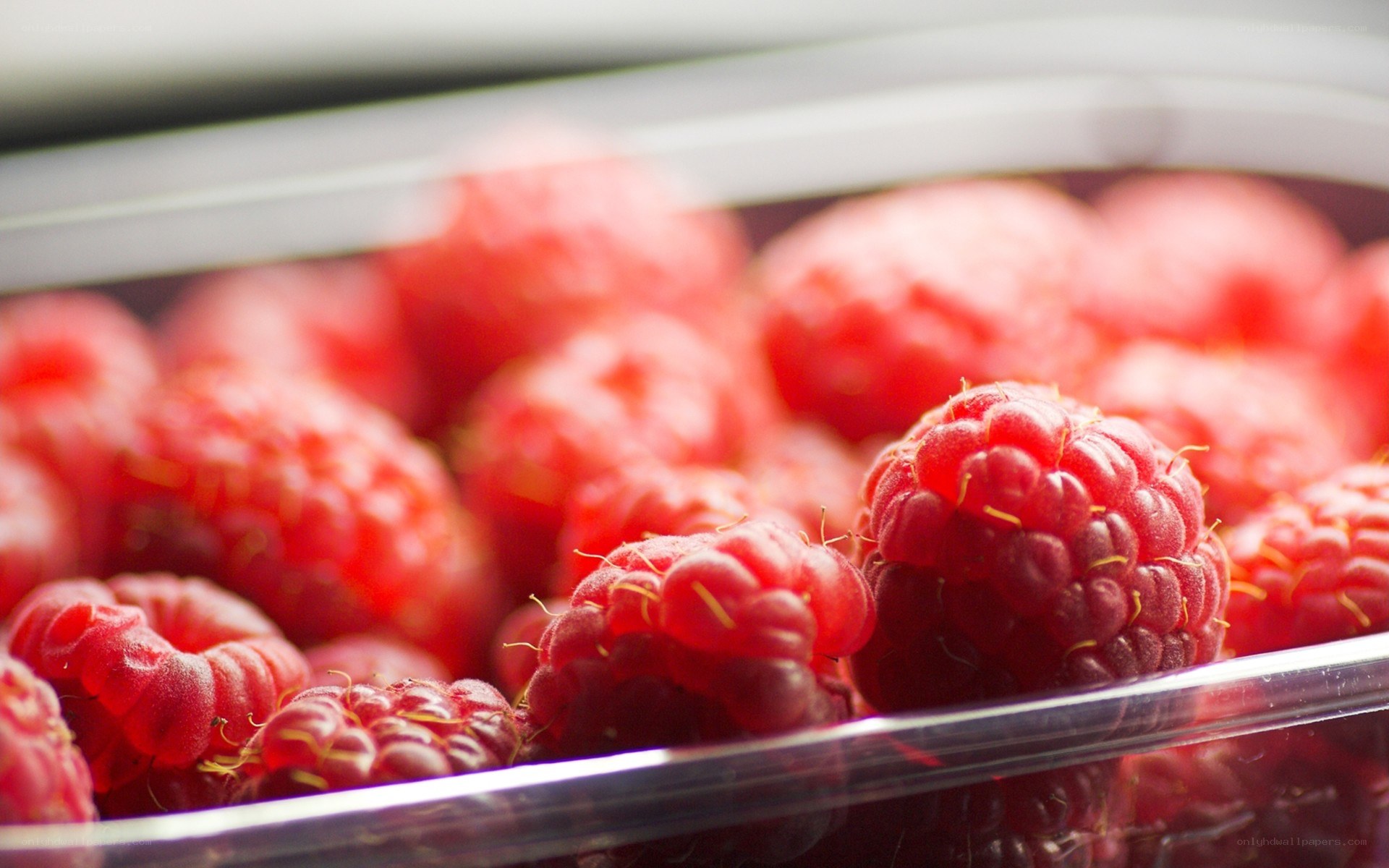 Fresh raspberries in a container