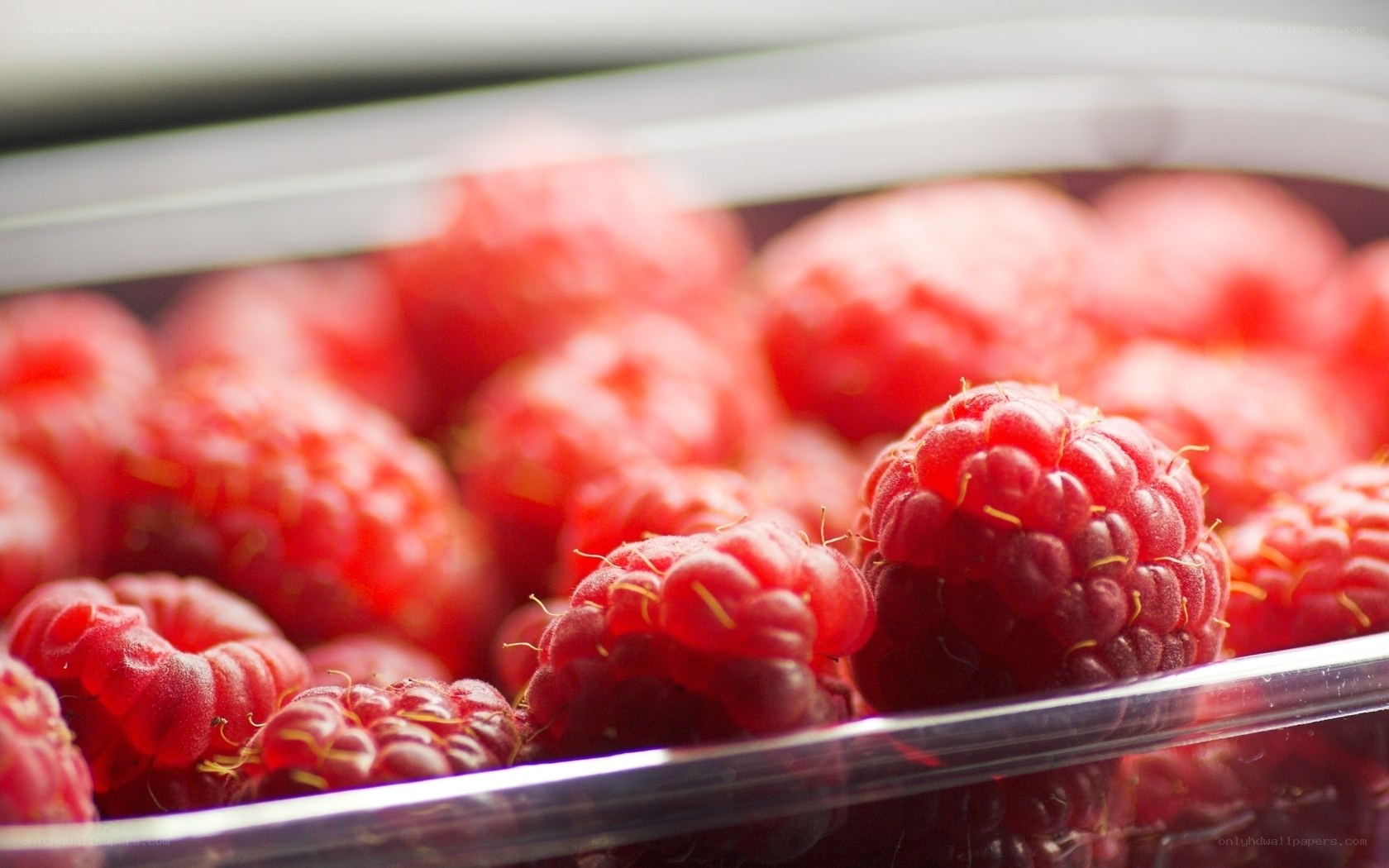 Fresh raspberries in a container