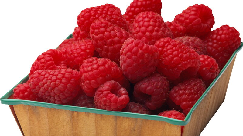 Fresh Raspberries in Basket — Red