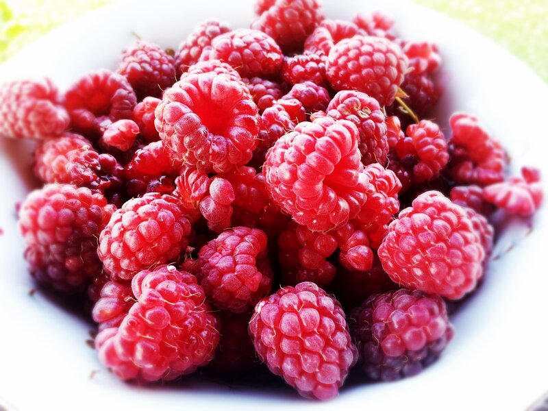 Fresh Raspberries in Bowl — Red, Bright