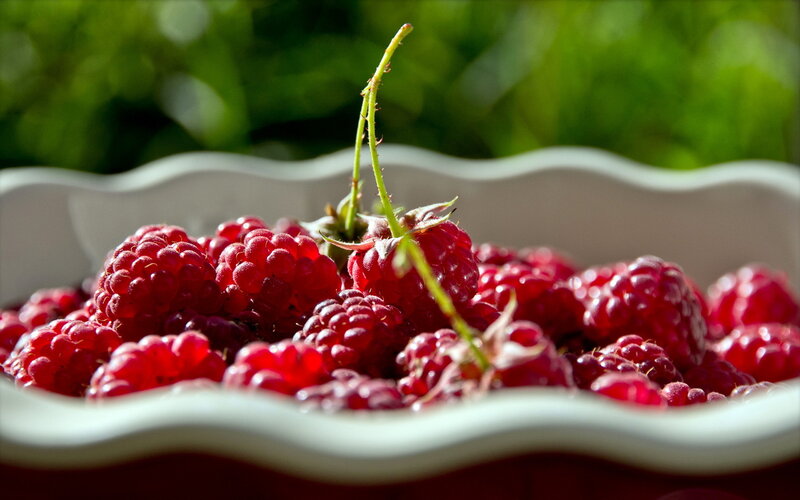 Fresh Raspberries in Bowl