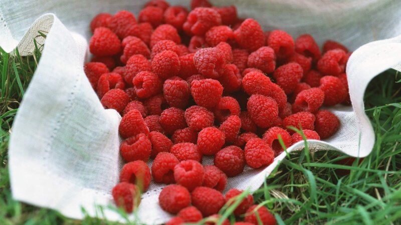 Fresh Raspberries in Cloth — Red