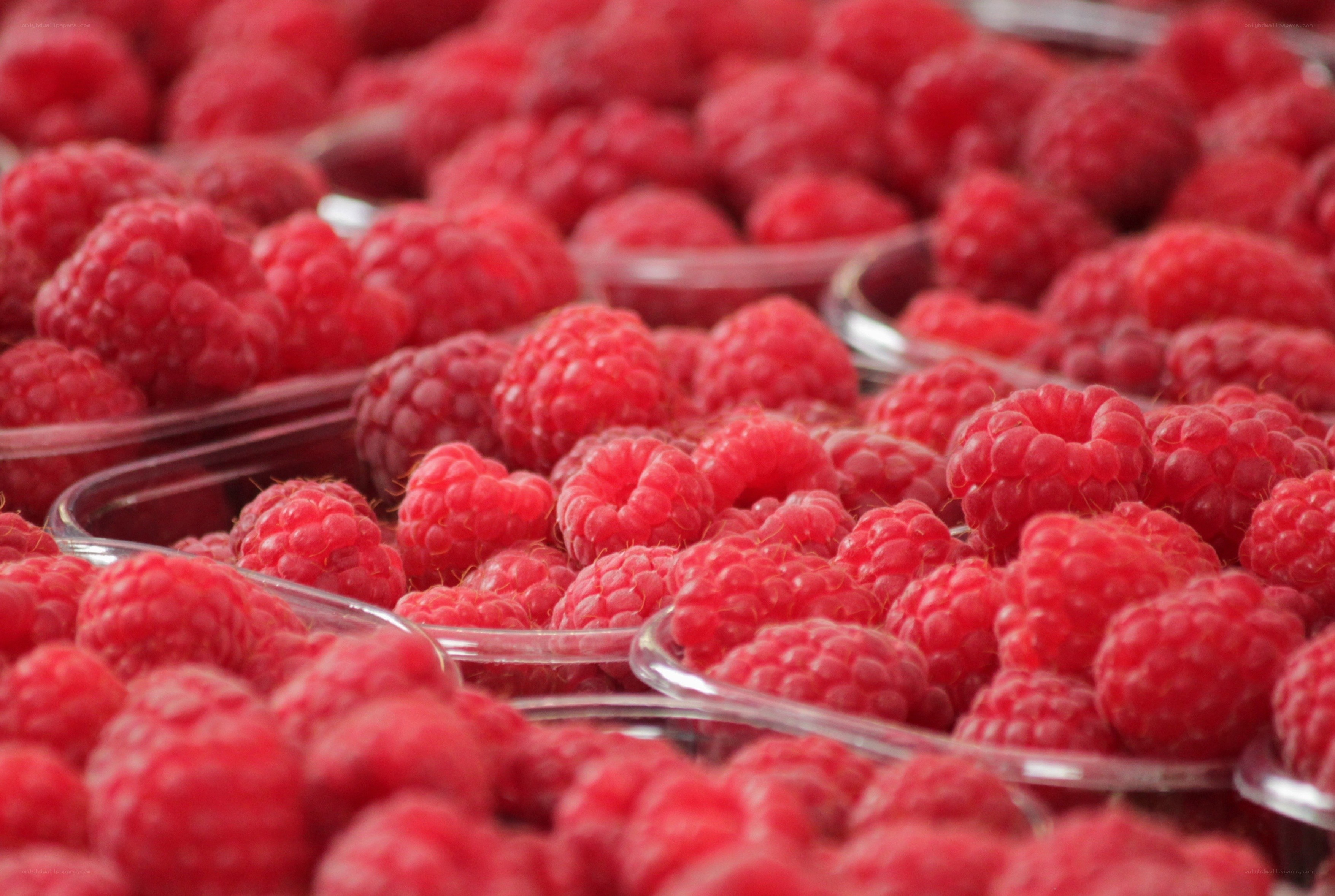 Fresh raspberries in containers