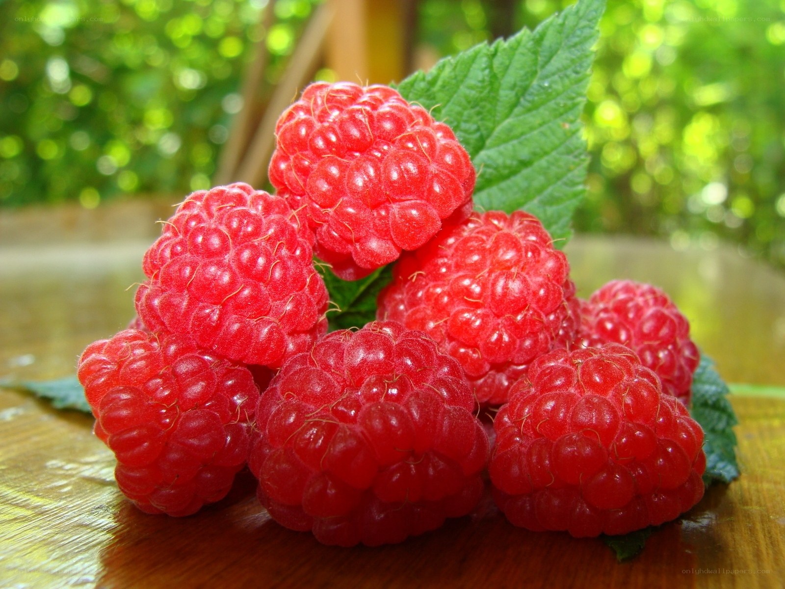 Fresh raspberries on a wooden surface