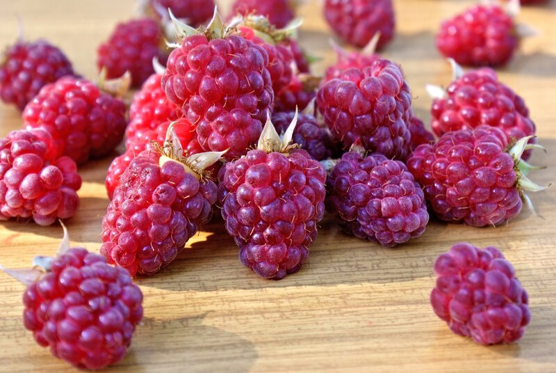 Fresh Raspberries on Wood — Red