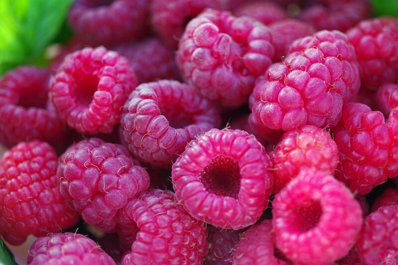 Fresh Raspberries — Pink
