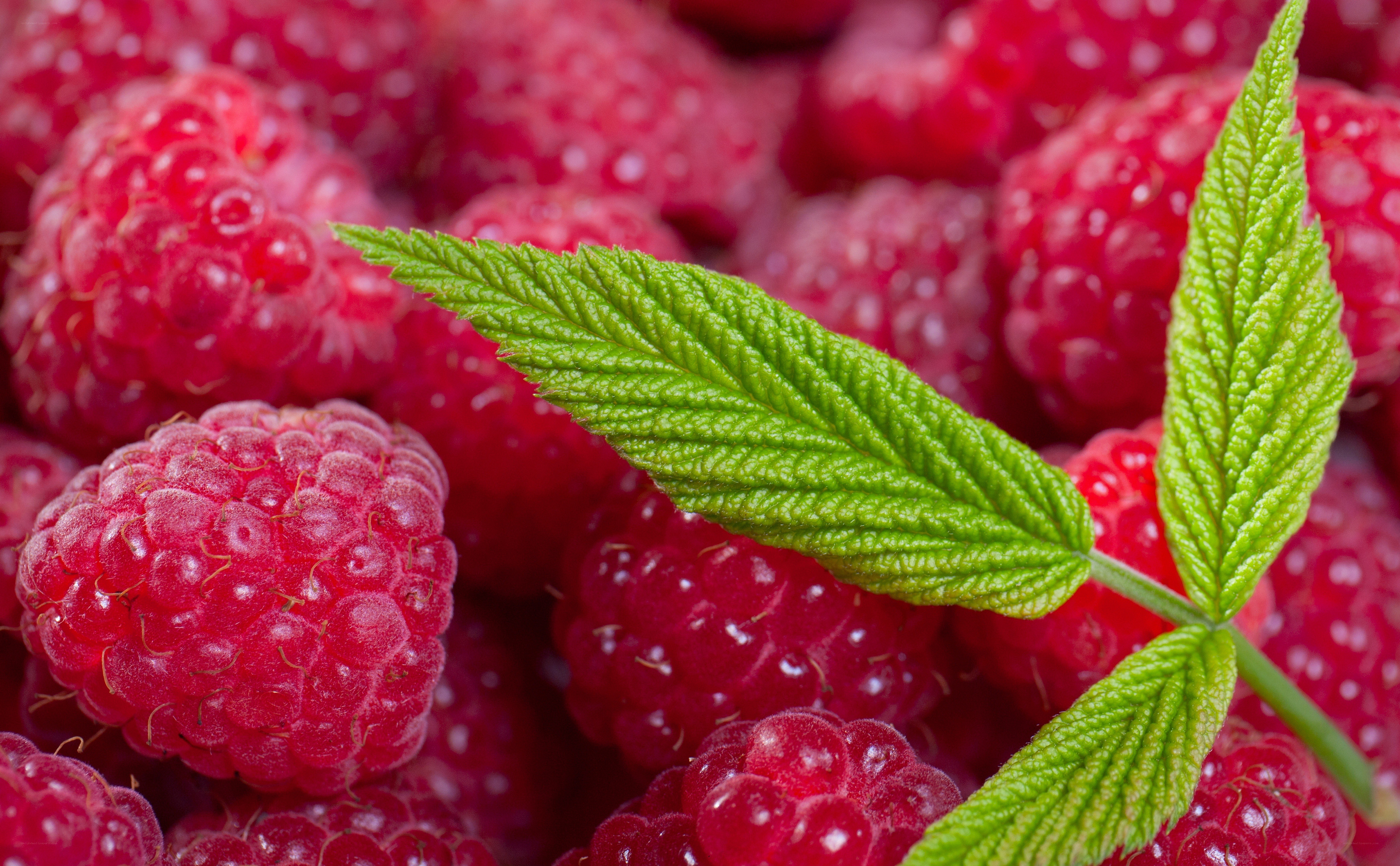 Fresh raspberries with green leaf