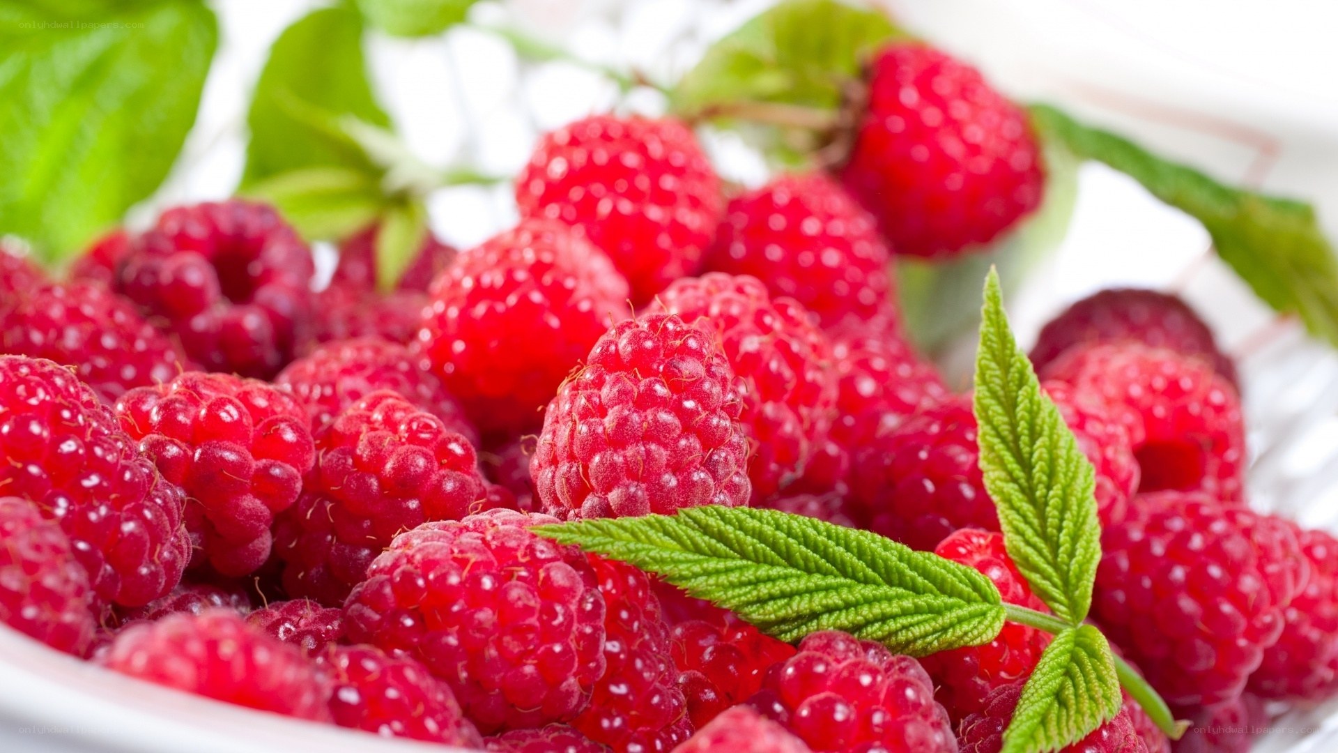 Fresh raspberries with green leaves