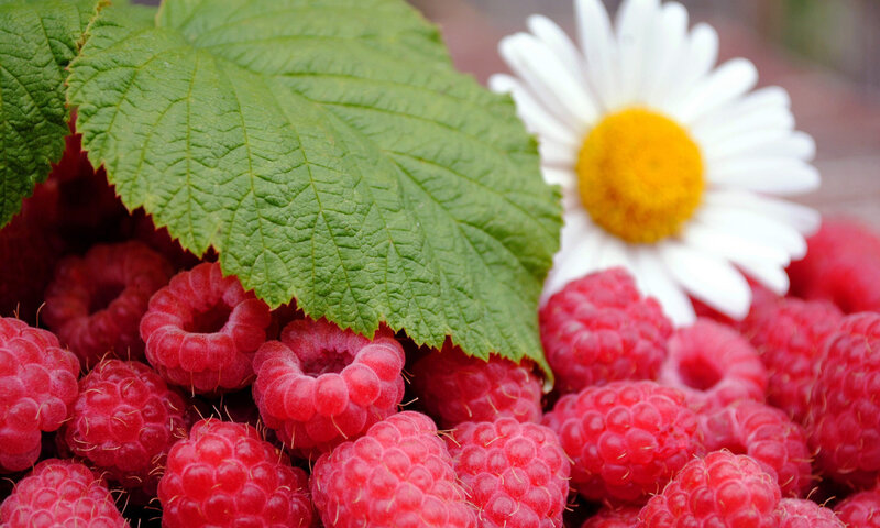 Fresh Raspberries with Leaf