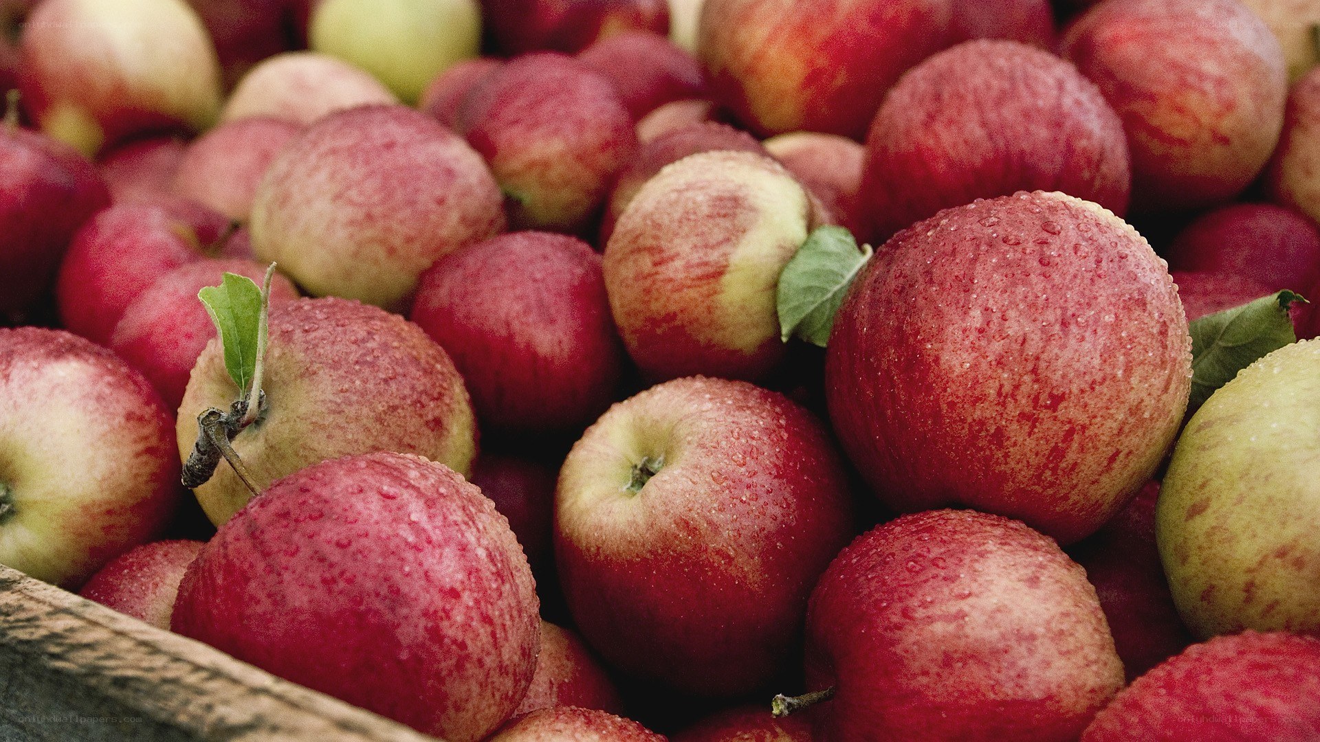 Fresh red apples in a basket