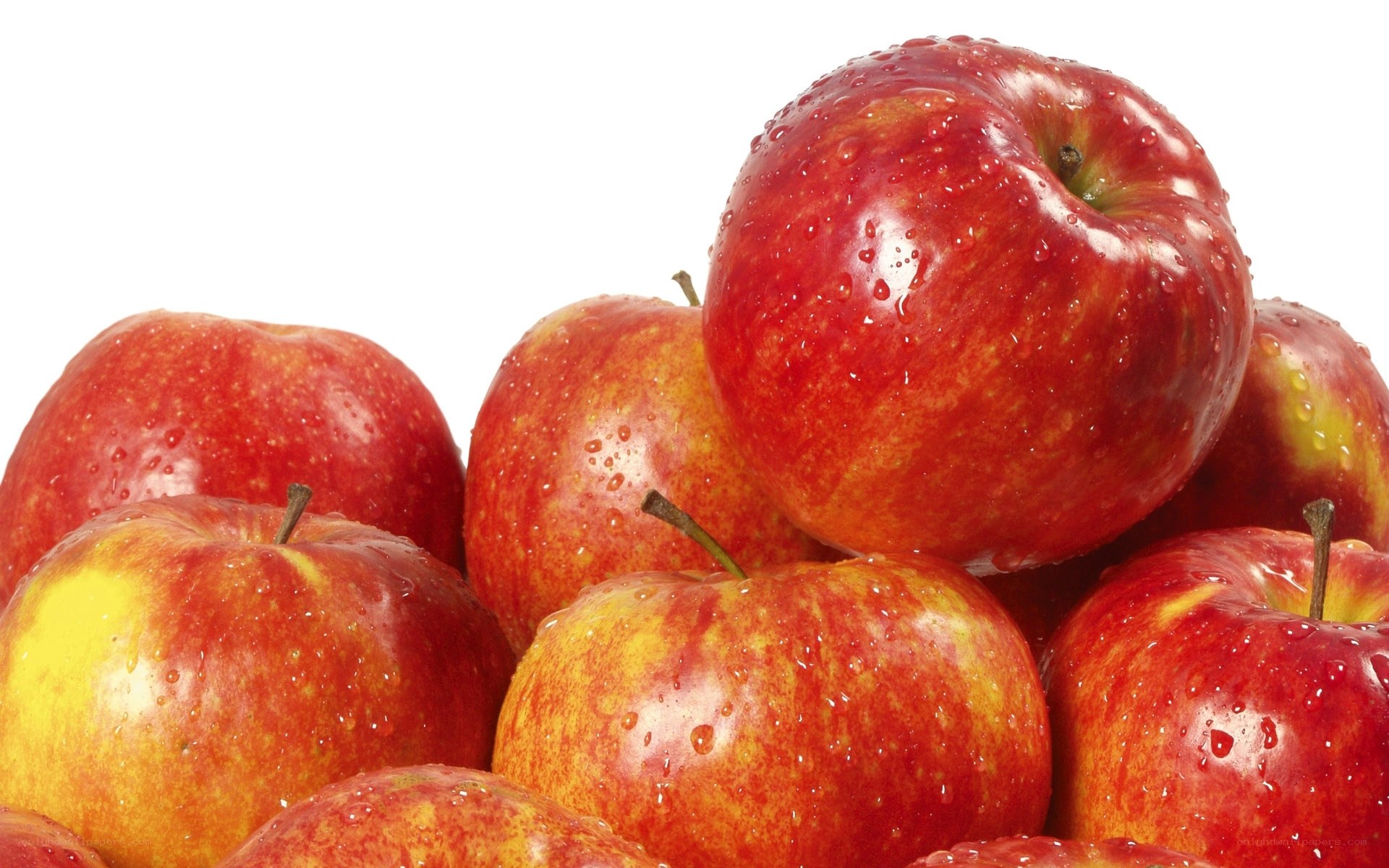 fresh red apples with water droplets
