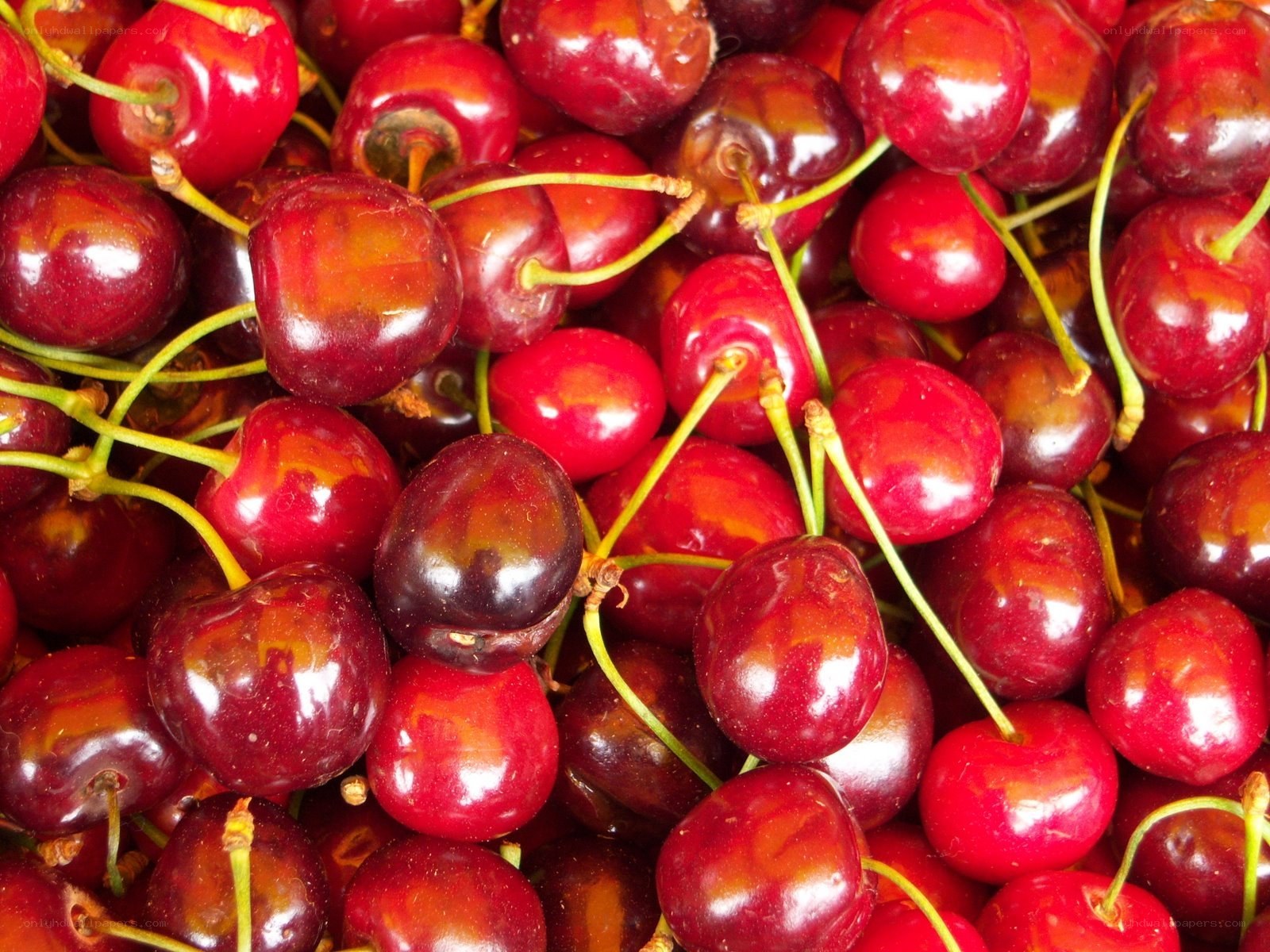 Fresh red cherries close-up