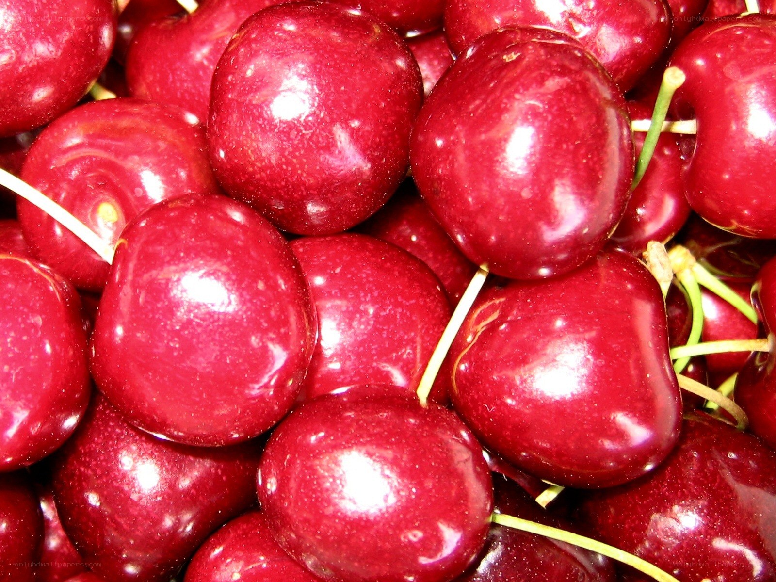Fresh red cherries close-up