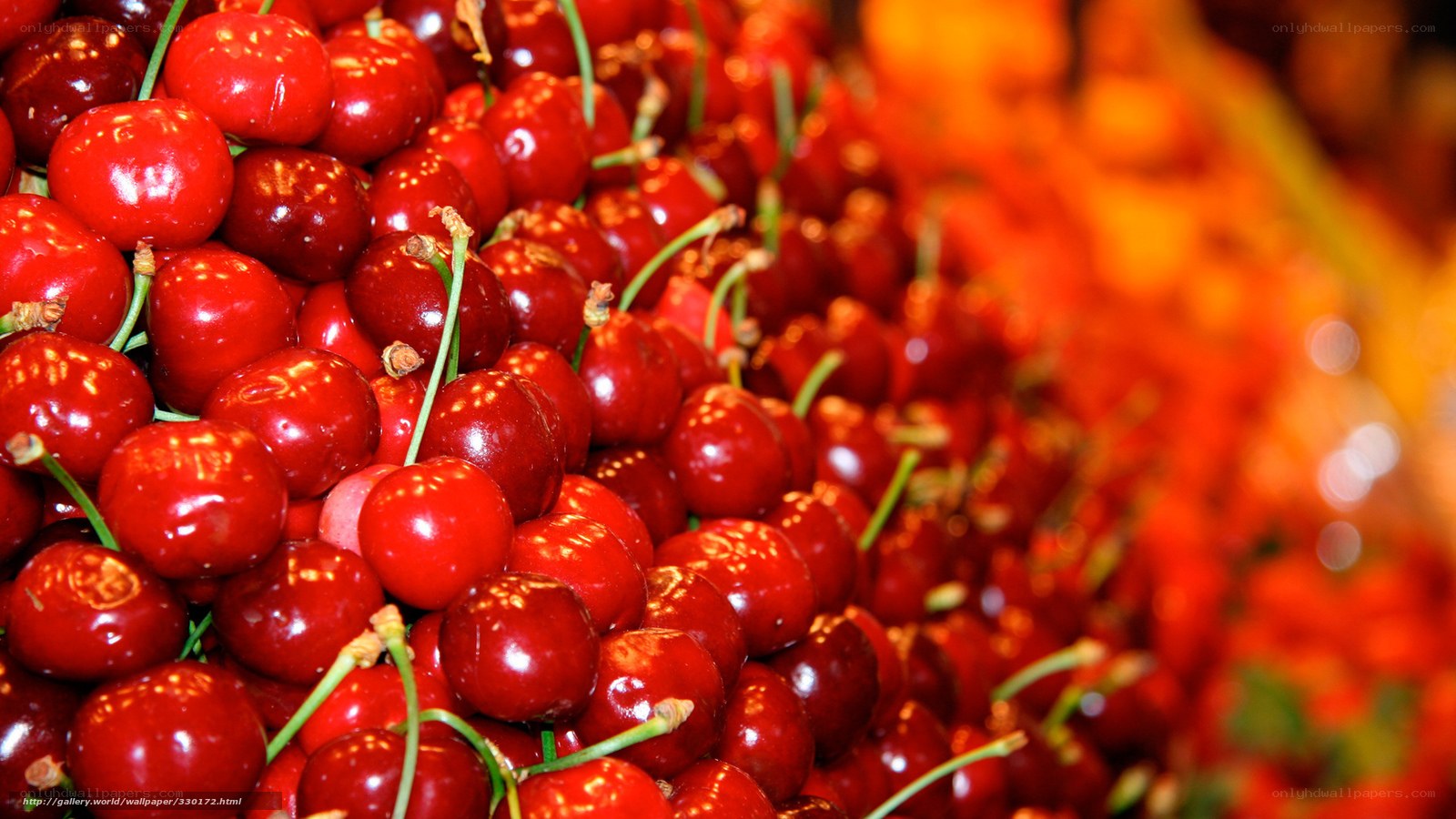 Fresh red cherries in a pile