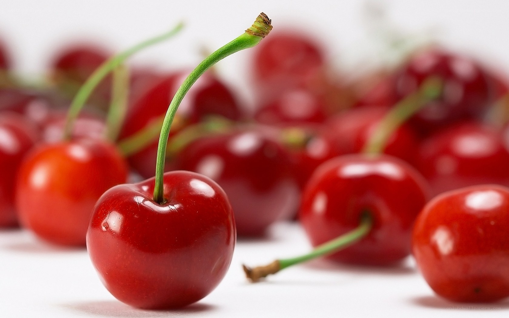 Fresh red cherries on white