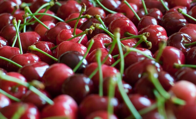 Fresh red cherries with stems