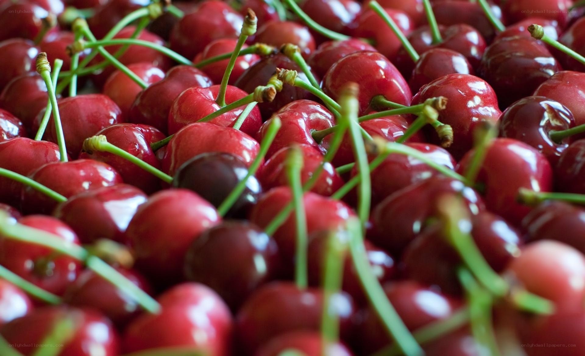 Fresh red cherries with stems