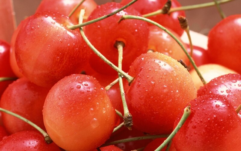 Fresh red cherries with water droplets