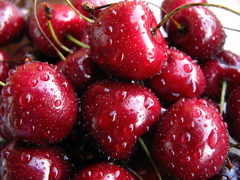 Fresh red cherries with water droplets